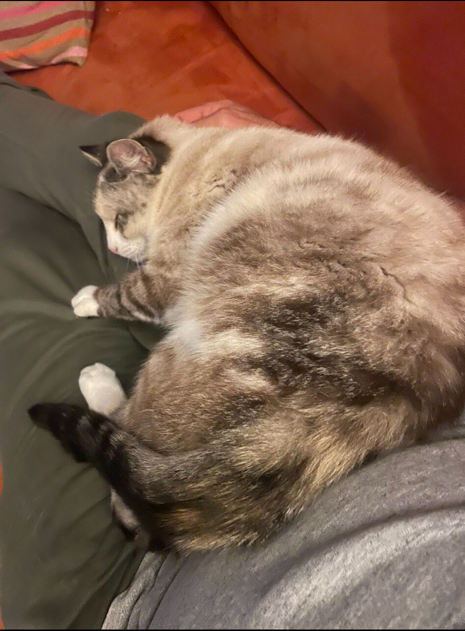 6242160.jpeg 6242160.jpeg