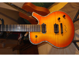 Parker Guitars Pm20 Pro -Flamed Honey Burst