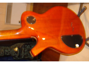 Parker Guitars Pm20 Pro -Flamed Honey Burst