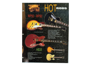 Washburn WP80