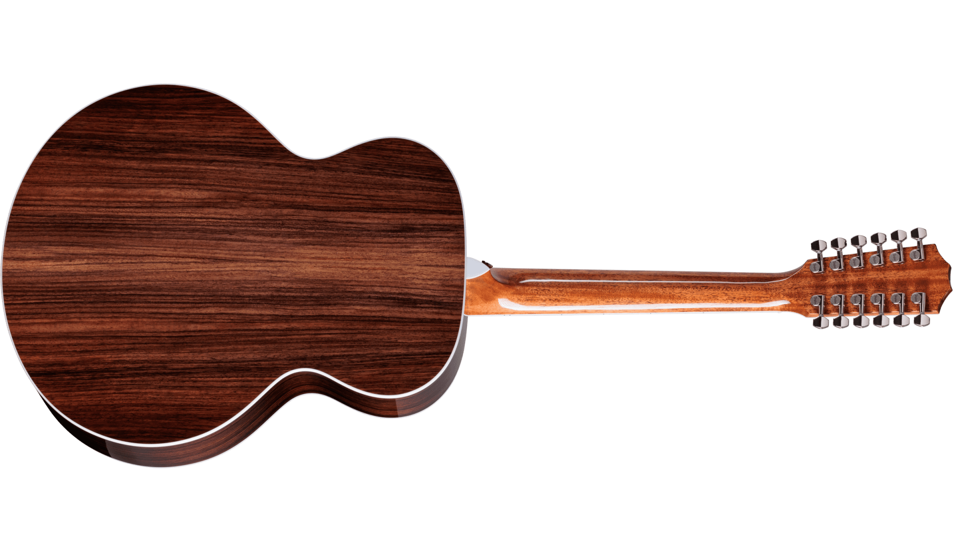 Taylor Legacy 855e : Legacy 855e BACK