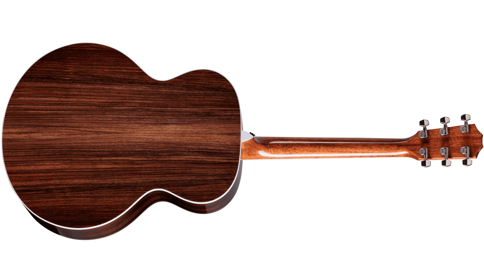 Taylor Legacy 815e : Legacy 815e BACK