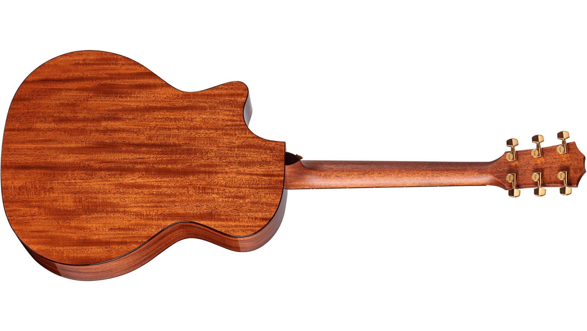 Taylor Legacy 514ce : Legacy 514ceBACK