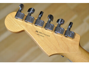 Blacktop Stratocaster HH Floyd (15)