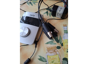 Focusrite Forte (73910)