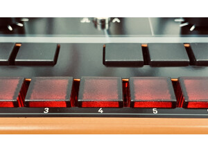 Behringer Crave (56449)