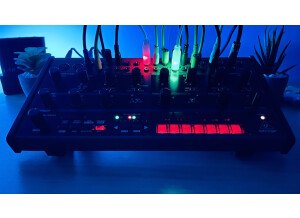 Behringer Crave (25730)