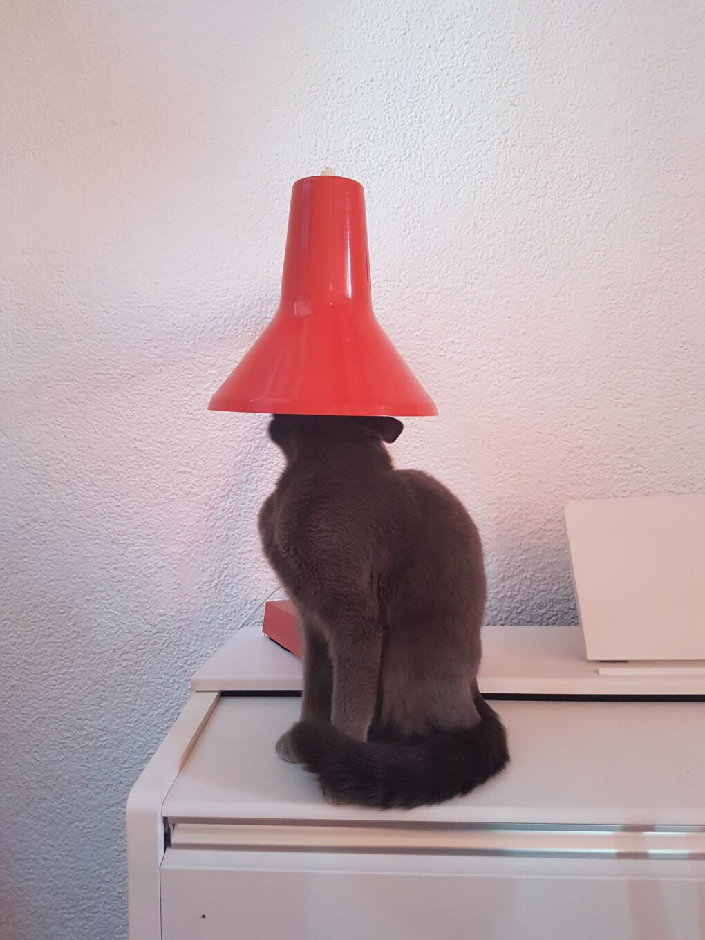 6246004.png 6246004.png