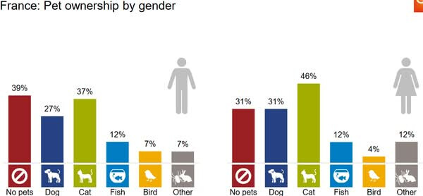 6246657.jpg 6246657.jpg