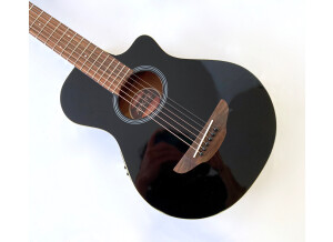 Yamaha APX-T2 (4645)