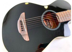 Yamaha APX-T2 (62399)