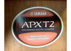Yamaha APX-T2 (27059)