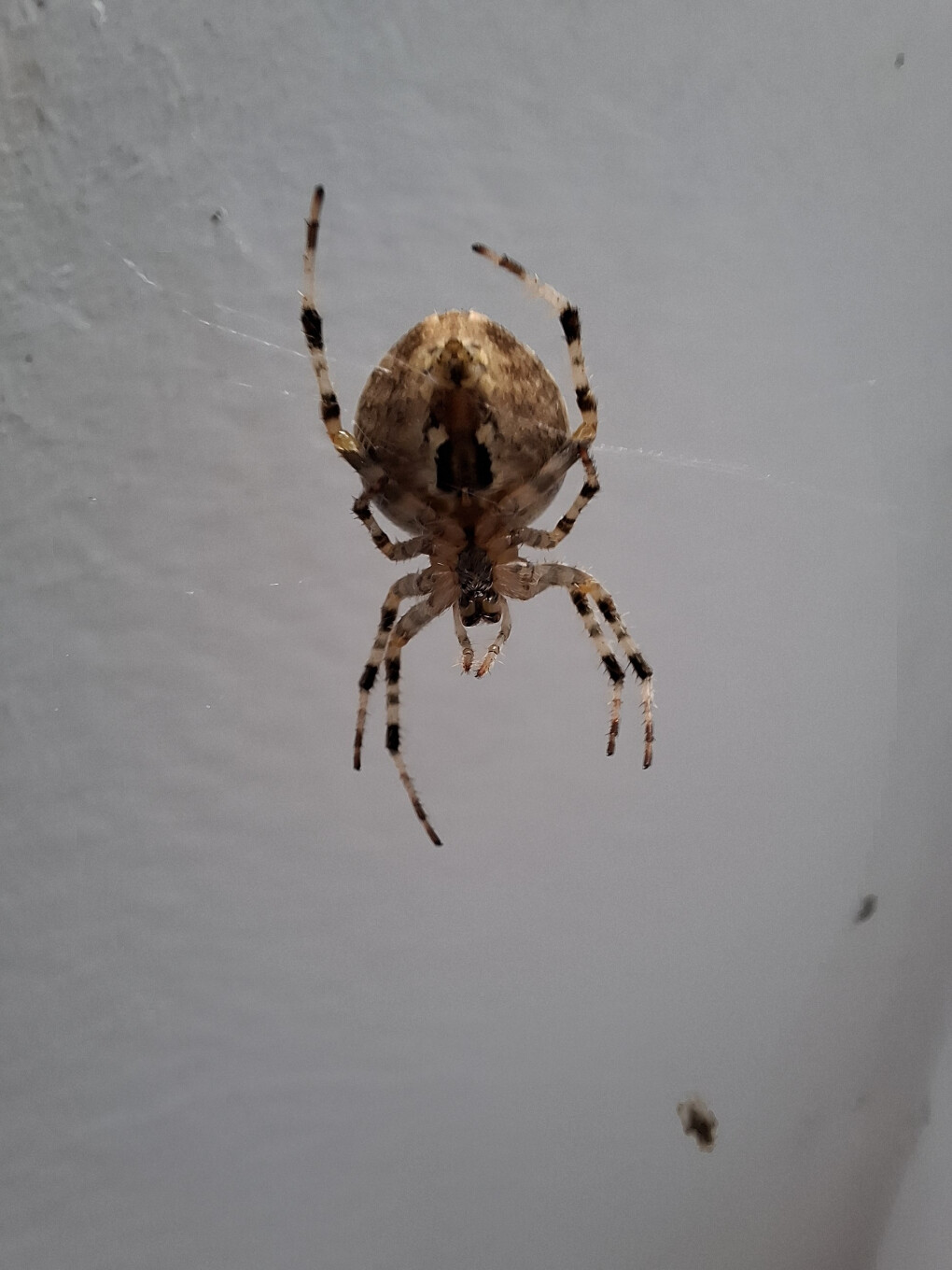 6247020.jpg 6247020.jpg