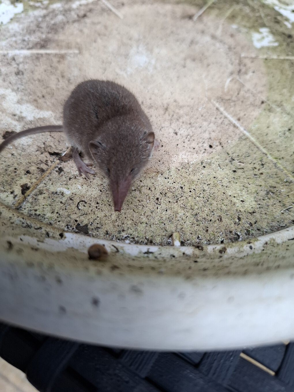 6247023.jpg 6247023.jpg