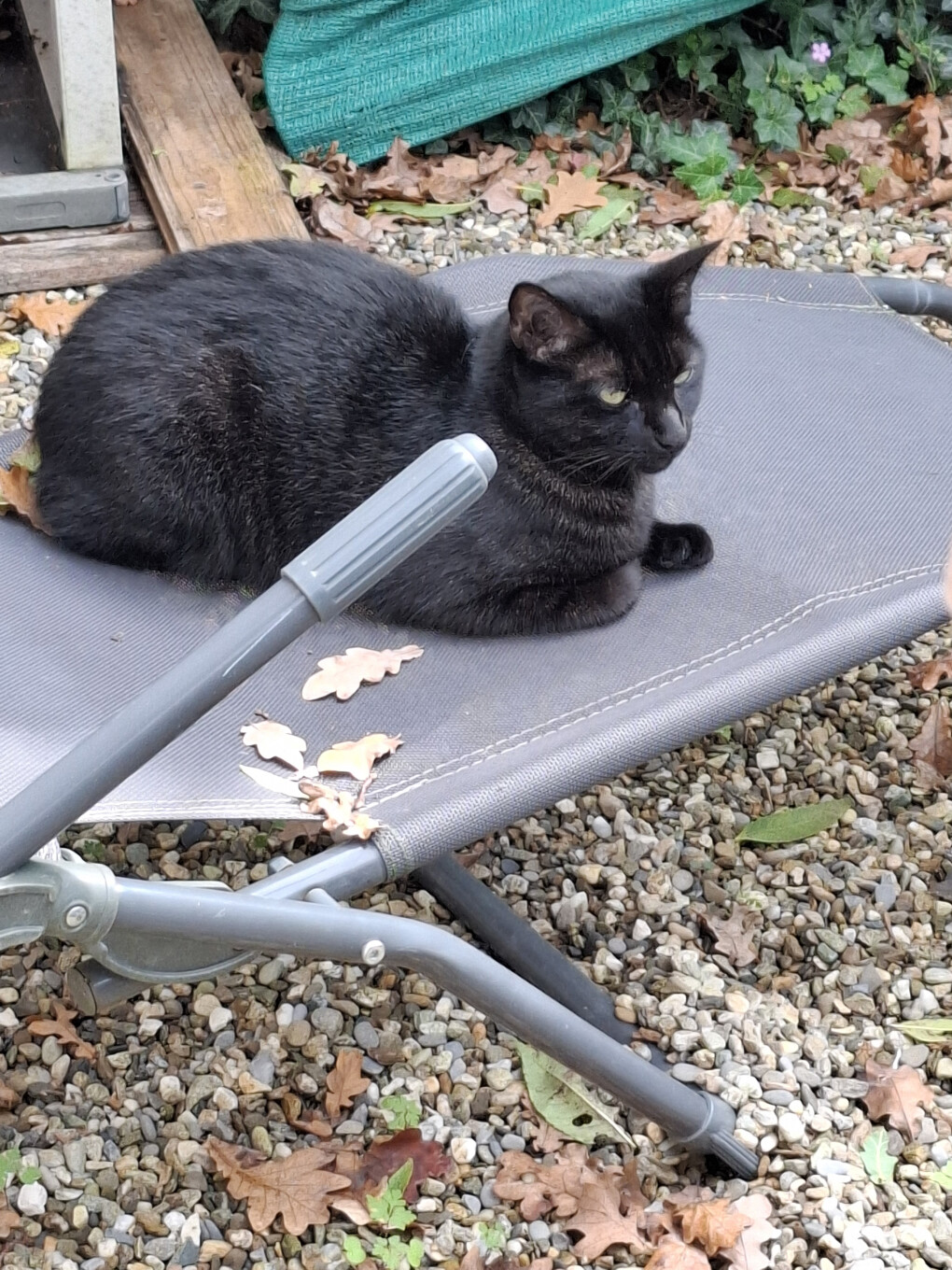 6247026.jpg 6247026.jpg