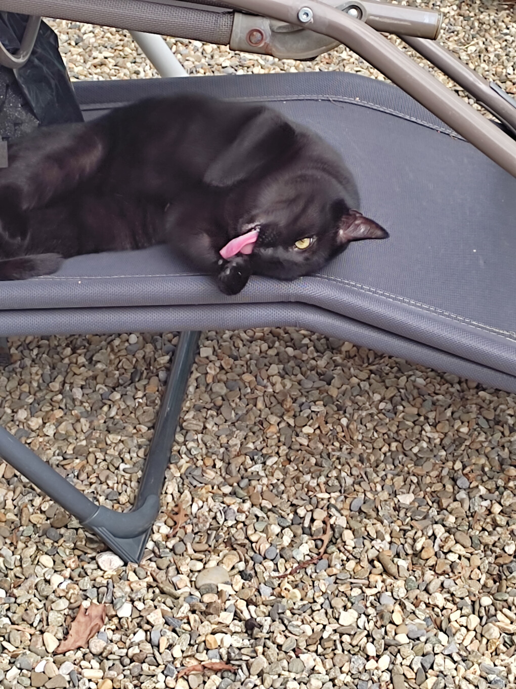 6247107.jpg 6247107.jpg