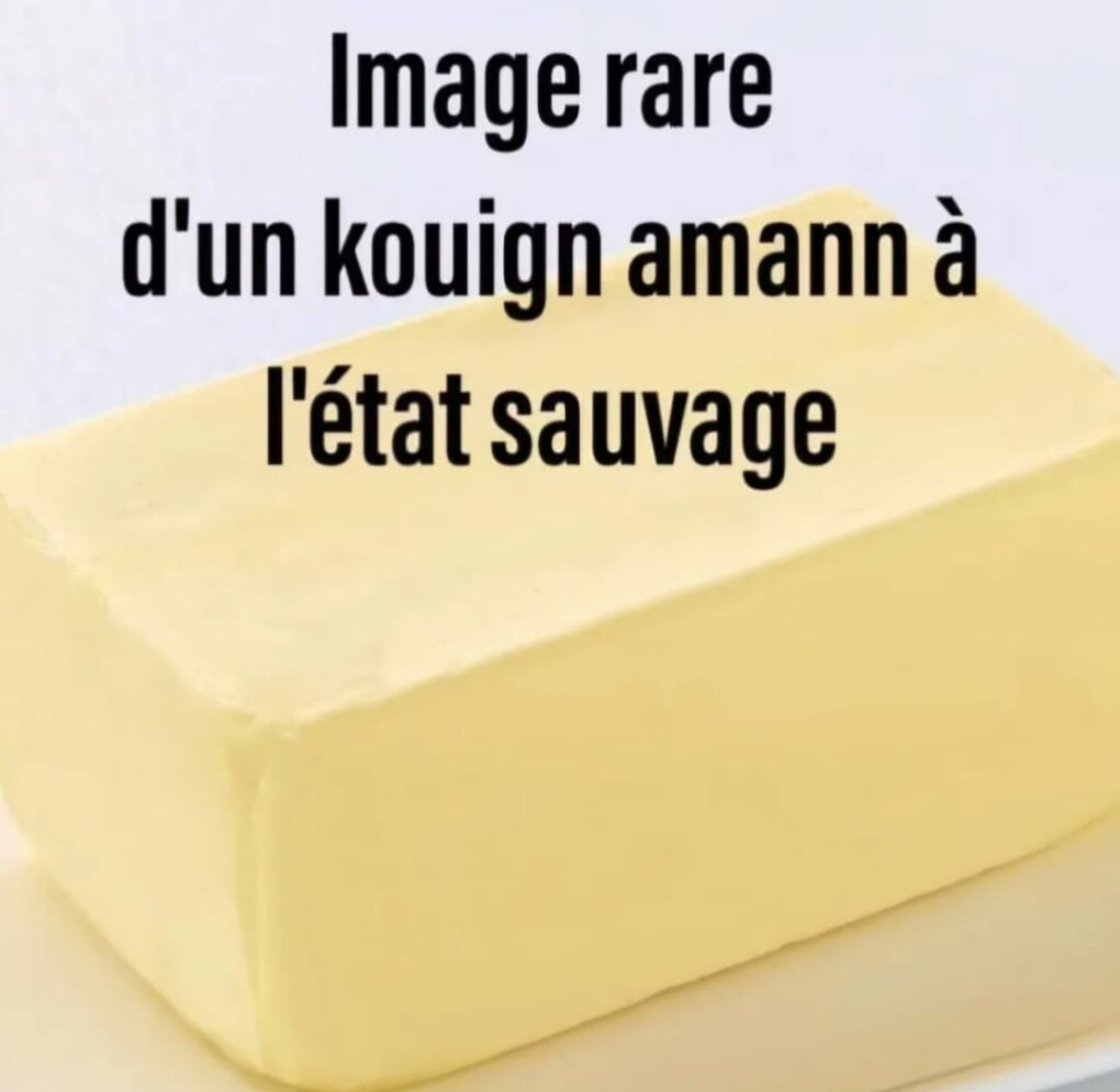 6247108.jpg 6247108.jpg