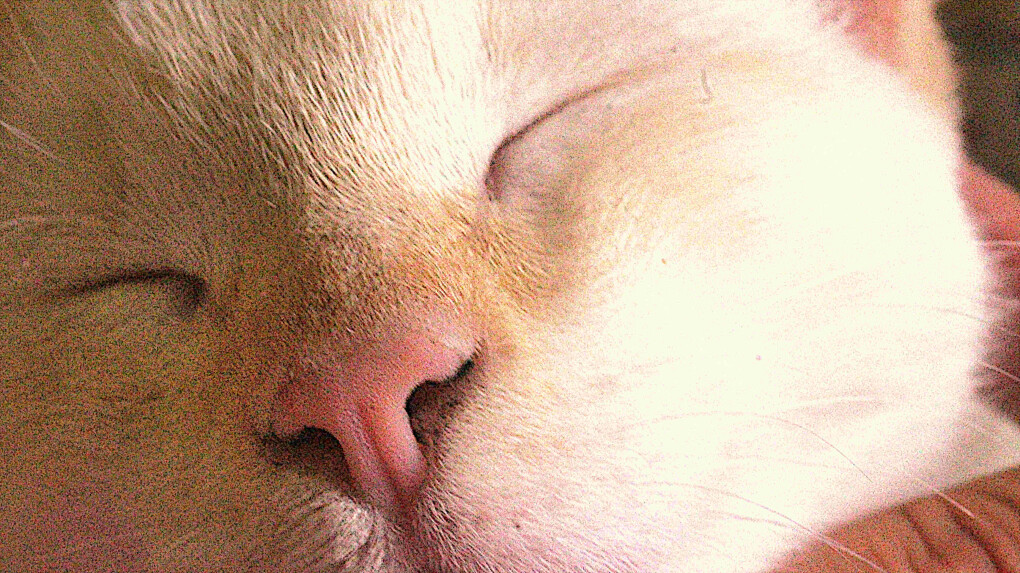 6247218.jpg 6247218.jpg