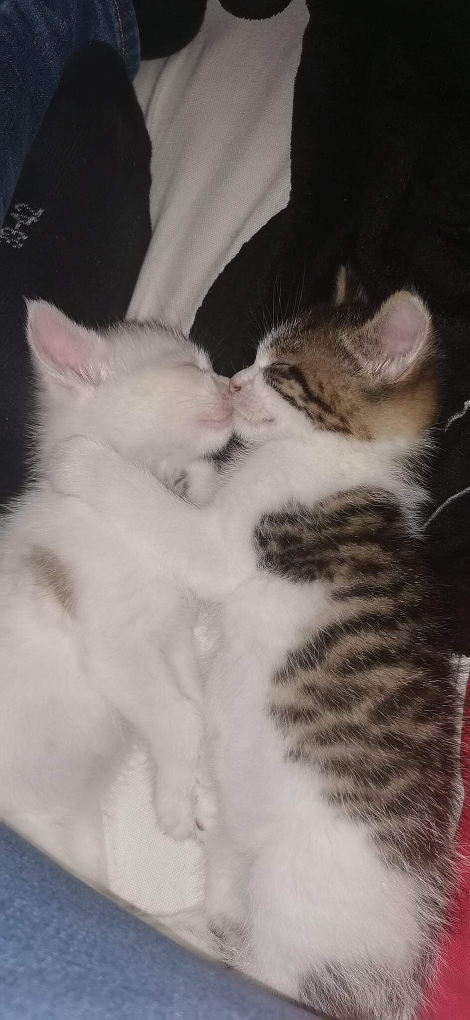 6247233.jpg 6247233.jpg