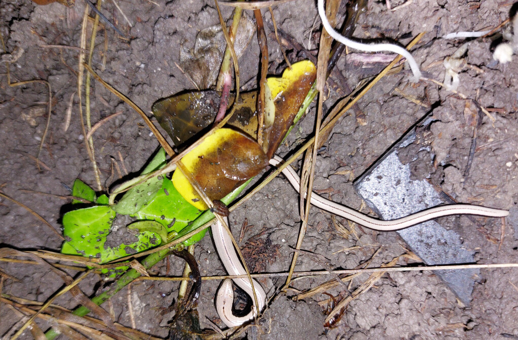 6248284.jpg 6248284.jpg