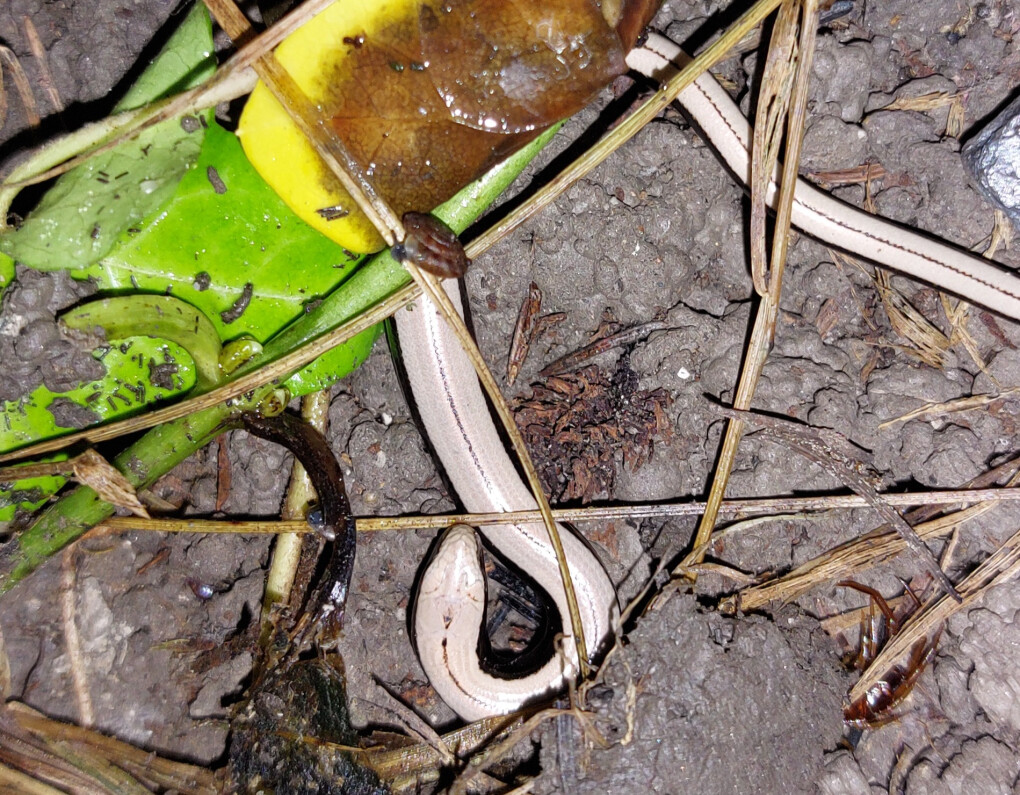 6248285.jpg 6248285.jpg