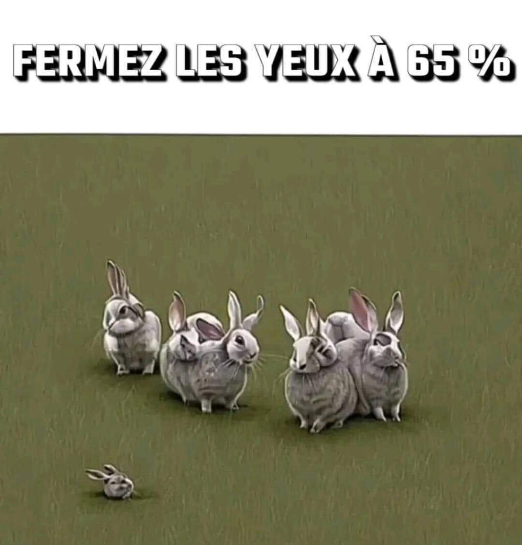 6248442.jpg 6248442.jpg
