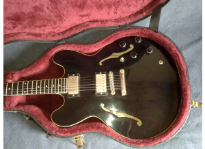 Gibson ES-335 Reissue (40647)