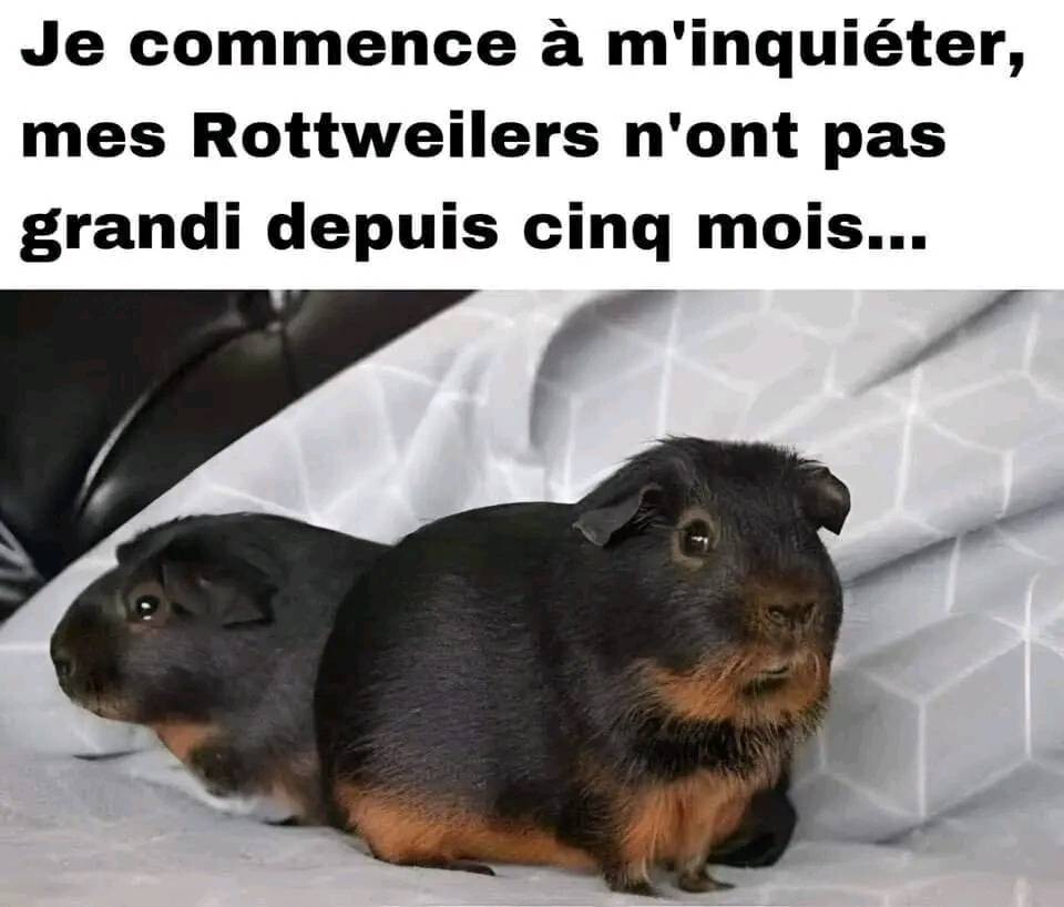 6248767.jpg 6248767.jpg