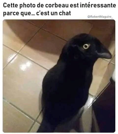 6248770.jpg 6248770.jpg