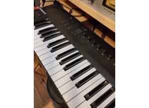 Native Instruments Komplete Kontrol A49 (63759)