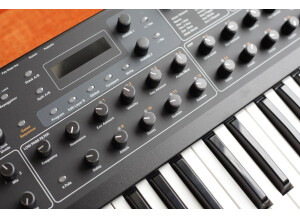 Dave Smith Instruments Prophet ?08 Pot Edition (39117)