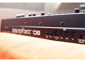 Dave Smith Instruments Prophet ?08 Pot Edition (97340)