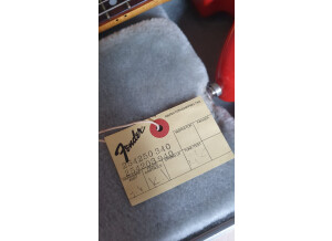 Fender Jag-Stang (6250)