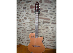 Godin Encore Nylon (5321)