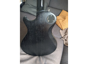 PRS S2 Singlecut Standard (62704)