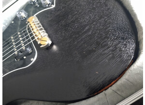 PRS S2 Singlecut Standard (71405)