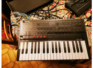 Korg ModWave (1735)