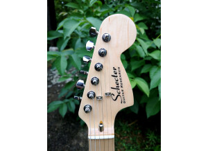 schecter-stratocaster-candy-4759256