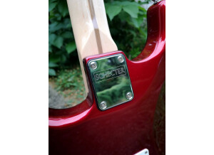 schecter-stratocaster-candy-4759260