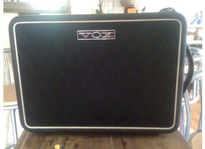 Vox V110NT Speaker Cabinet