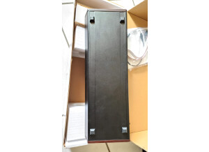 Behringer Model D (55936)