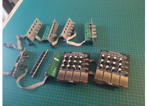 Make Noise Brains (55605)