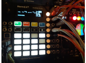 Squarp Instruments Hermod+ (36206)