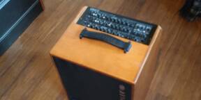 Vds Schertler Unico wood