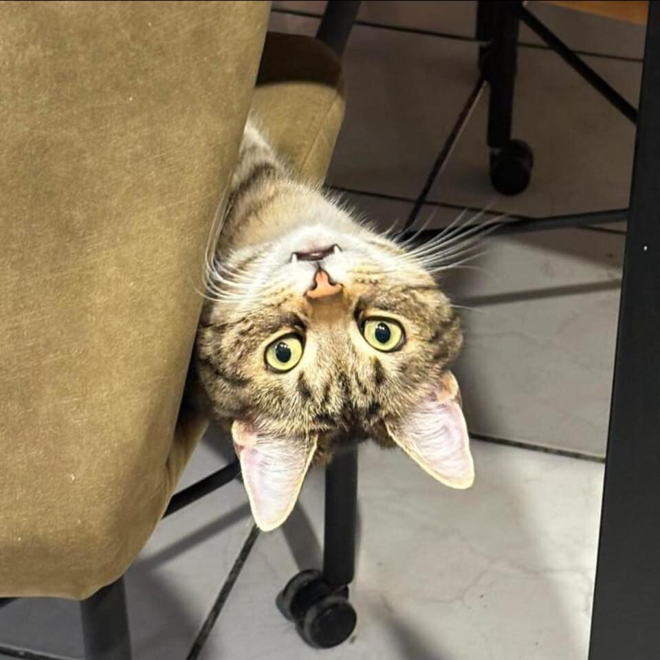 6255380.jpg 6255380.jpg