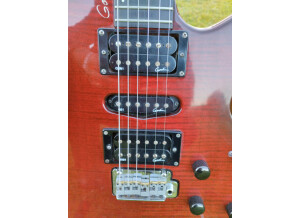 Godin3