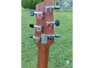 Godin6