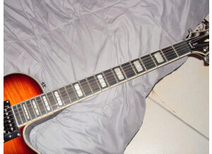 Hagstrom Ultra Max (3665)