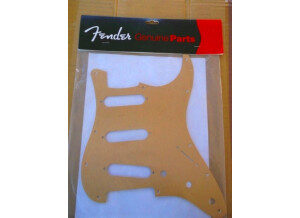 Stratocaster 18.