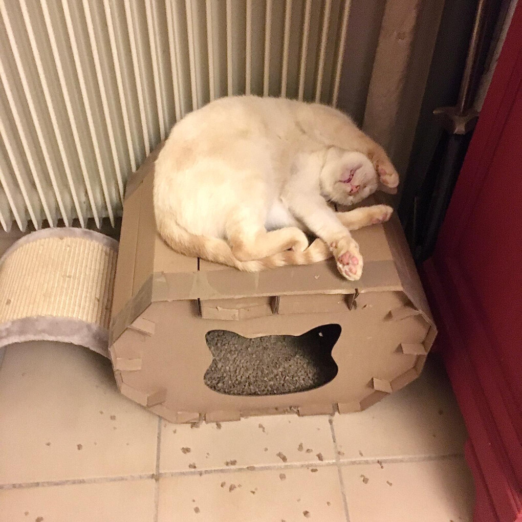 6258369.jpg 6258369.jpg